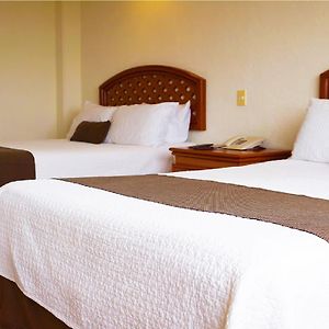 Se Permiten Perros Habitación